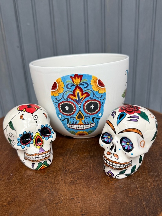 Other - Mexican Sugar Skull Bowl Salt and Pepper Shaker Set